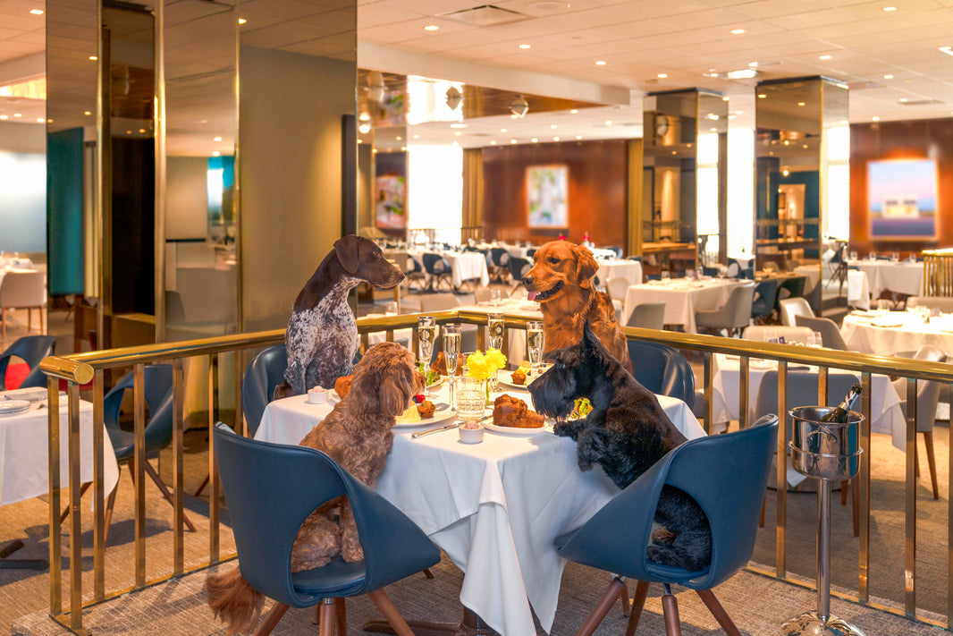 Photography by Gray Malin of The Zodiac Room, Neiman Marcus, Downtown Dallas