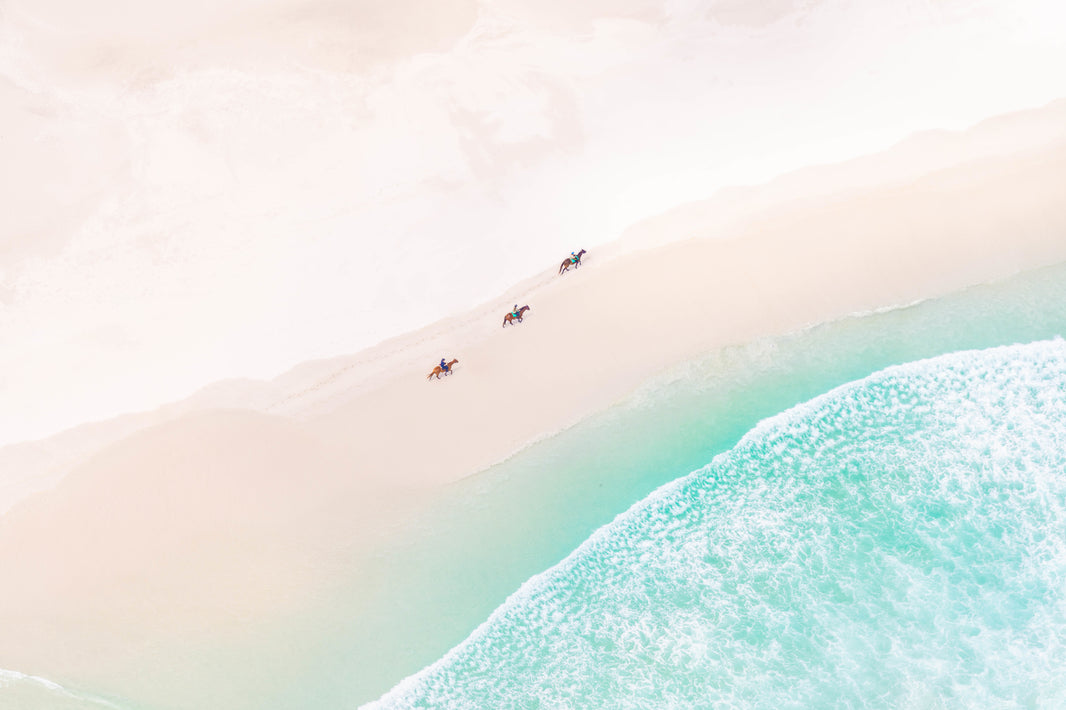 Photography by Gray Malin of Three Horses, Cape Town