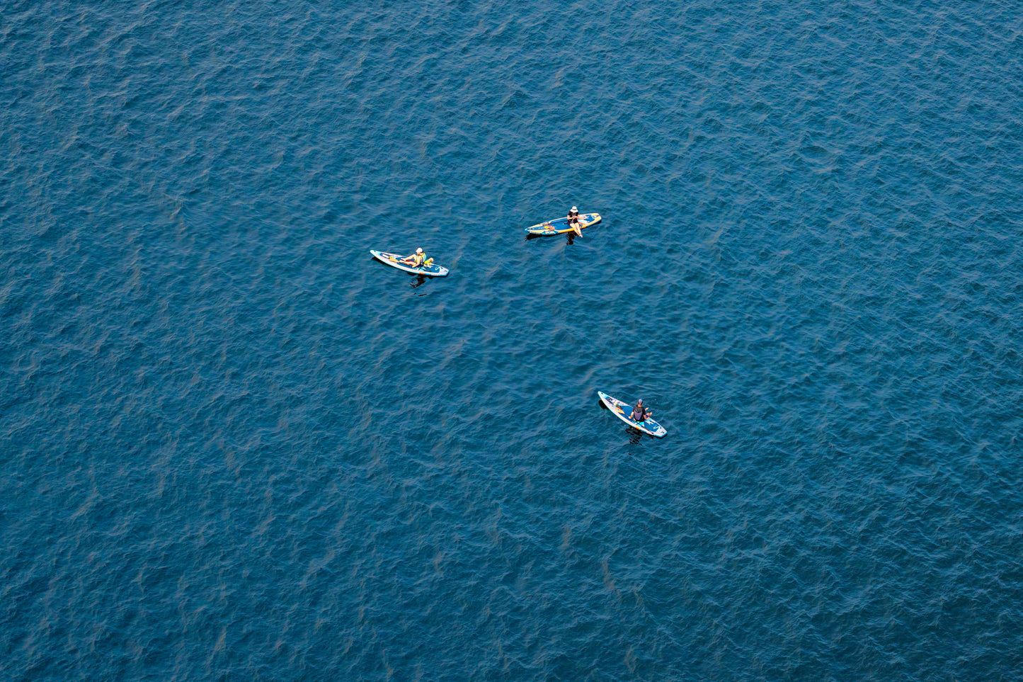 Three Paddle Boarders, Lake Union, Seattle