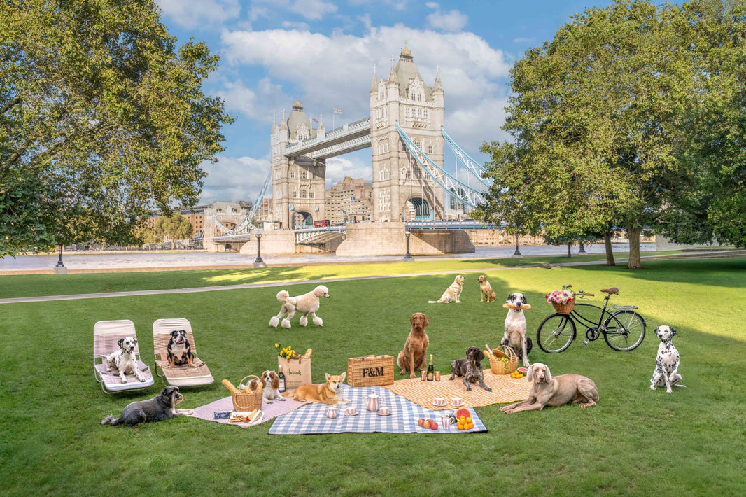 Photography by Gray Malin of Tower Bridge Picnic, London