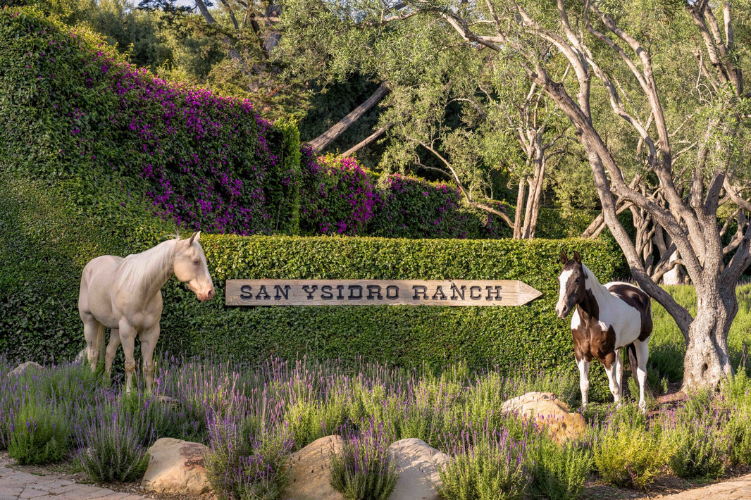 Photography by Gray Malin of Two Horses, San Ysidro Ranch