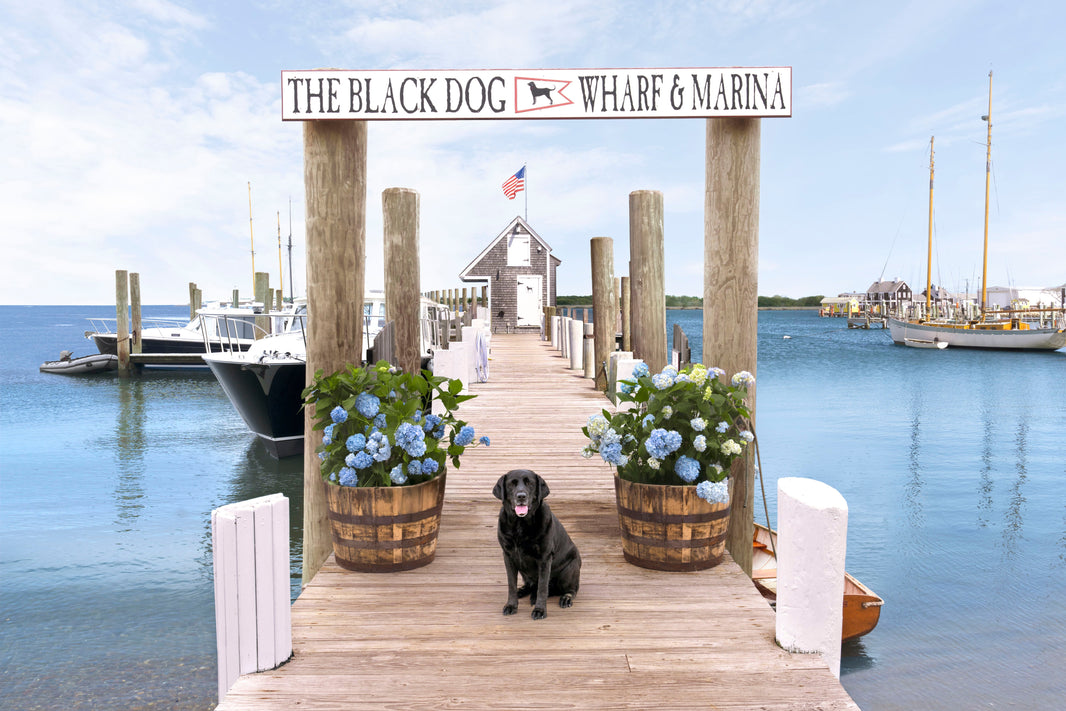 Photography by Gray Malin of Vineyard Haven, Martha’s Vineyard
