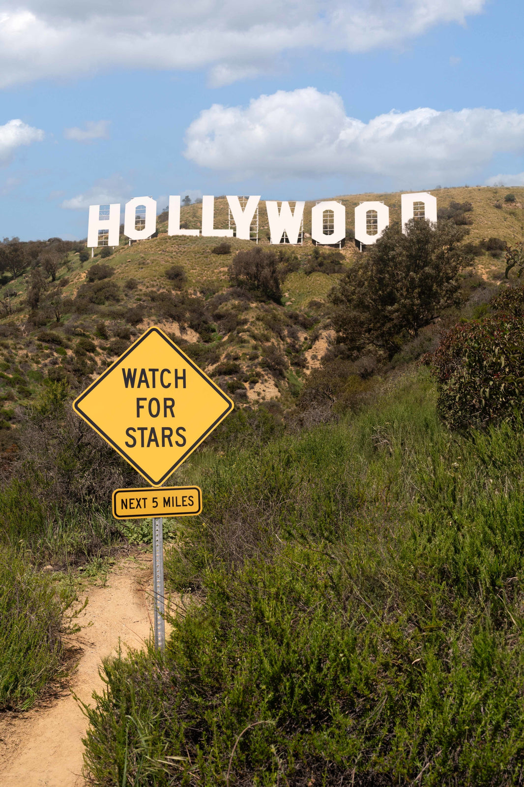 Photography by Gray Malin of Watch for Stars, Hollywood Sign