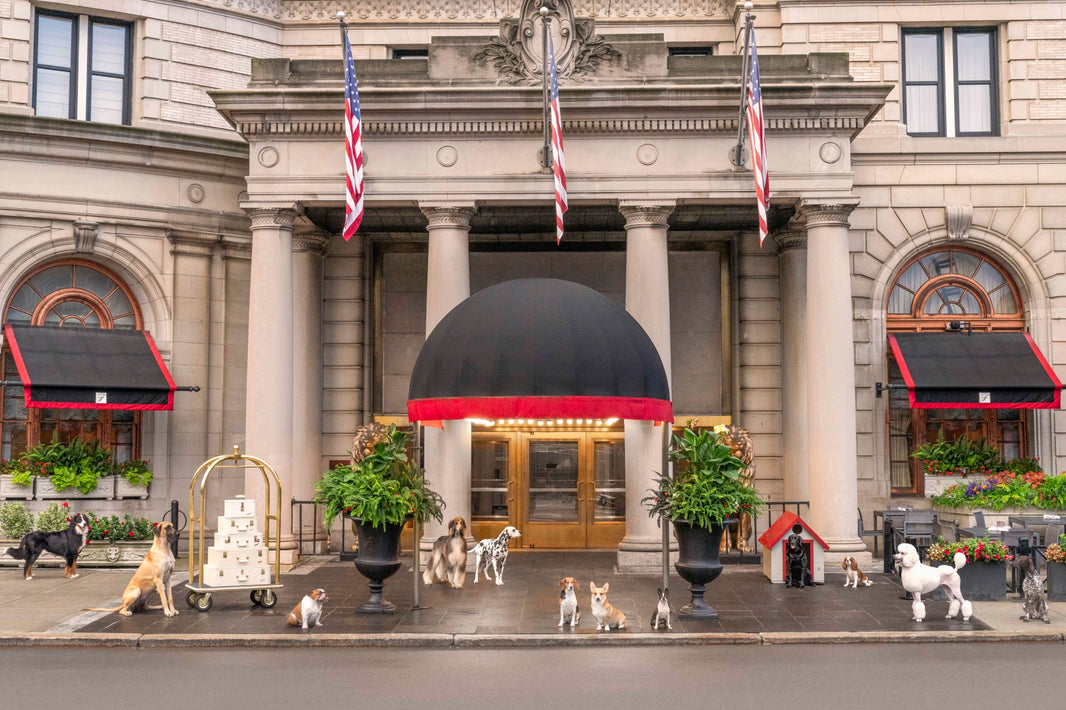 Photography by Gray Malin of Welcome to Fairmont Copley Plaza, Boston