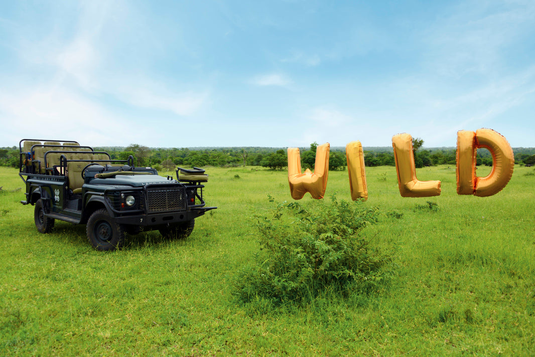 Photography by Gray Malin of Wild Balloons