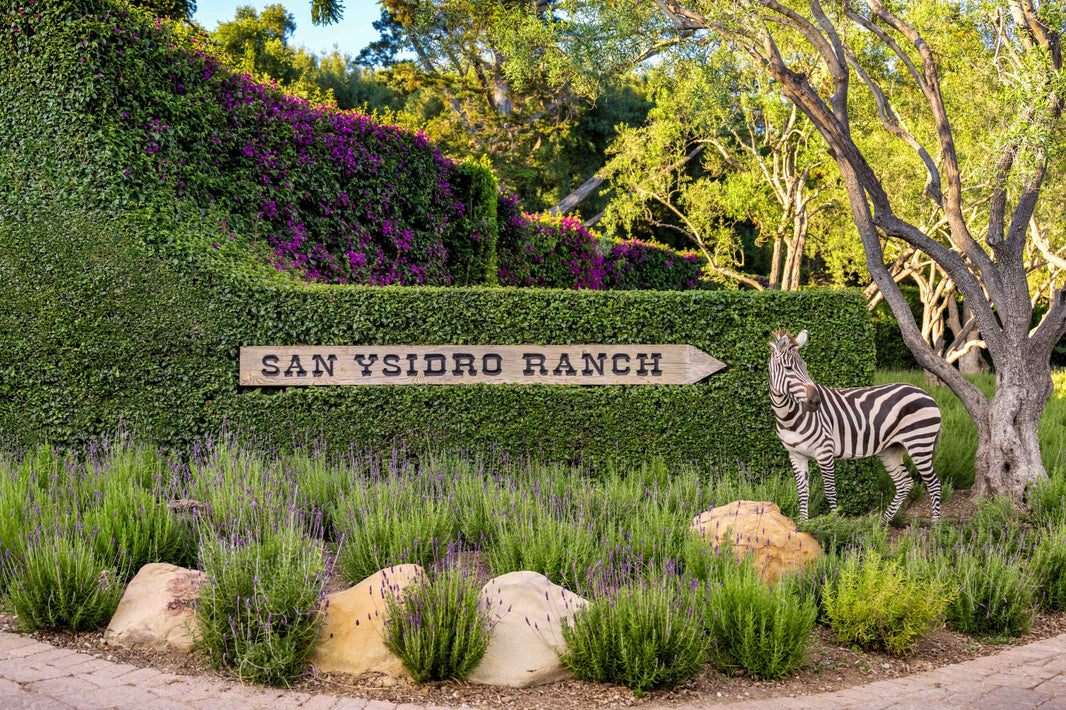 Photography by Gray Malin of Wild Welcome, San Ysidro Ranch
