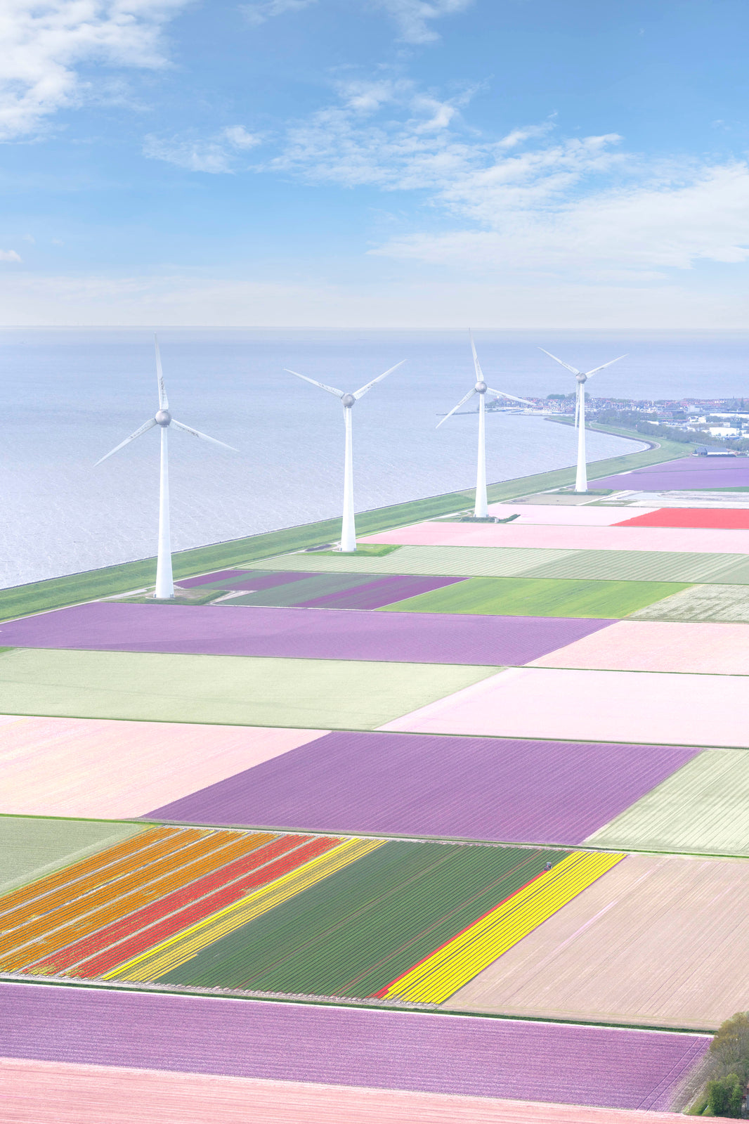 Photography by Gray Malin of Windmills, Dutch Tulip Fields, Netherlands