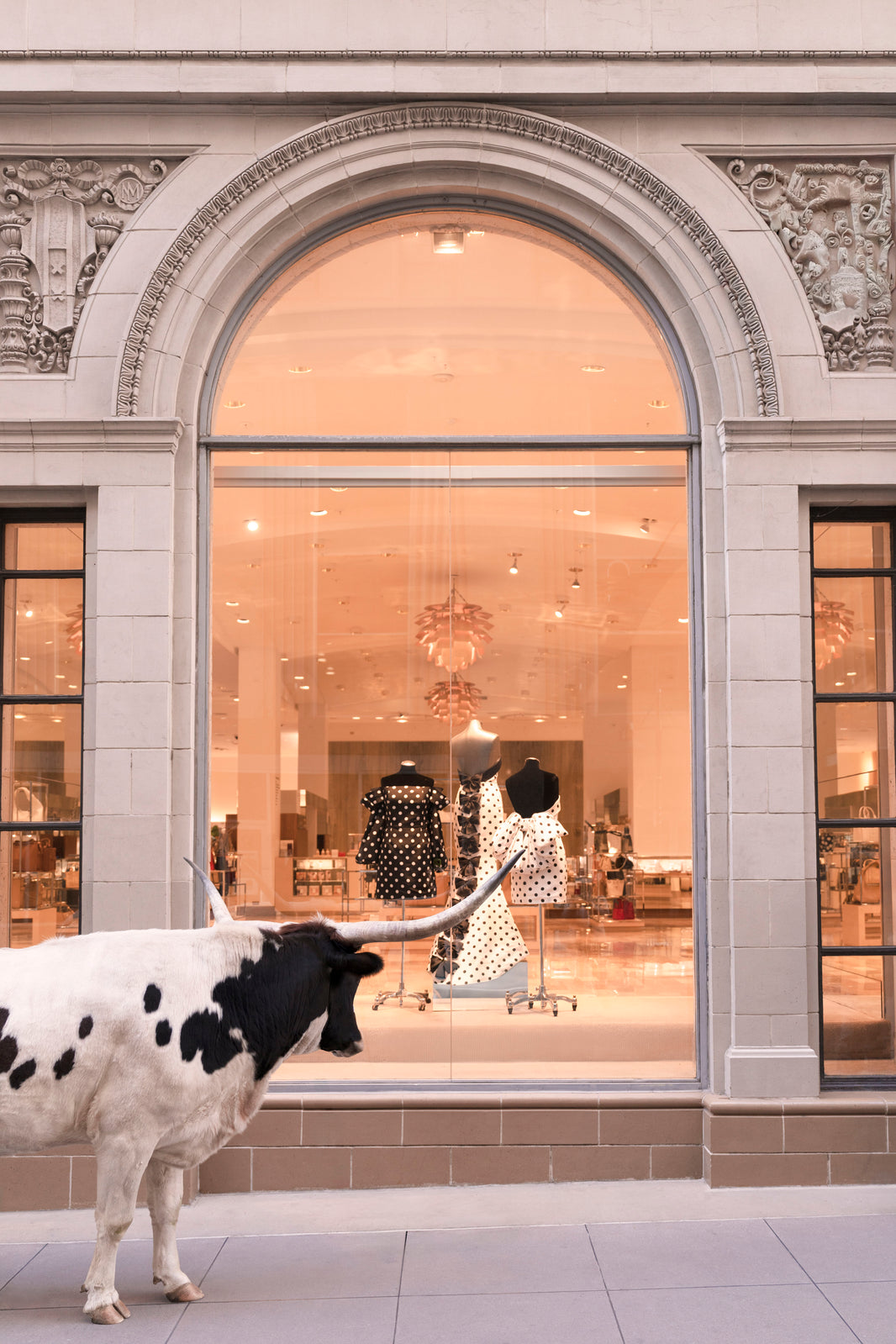 Photography by Gray Malin of Window Shopping, Neiman Marcus, Downtown Dallas