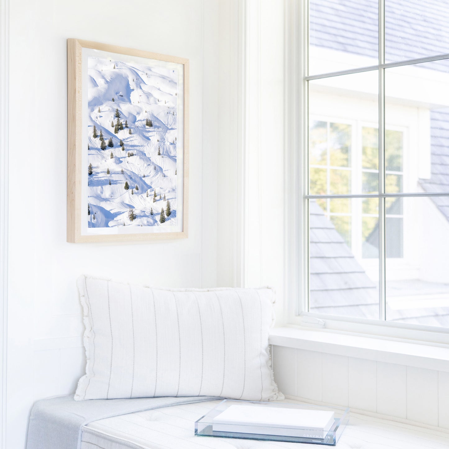 Courchevel Trees, French Alps