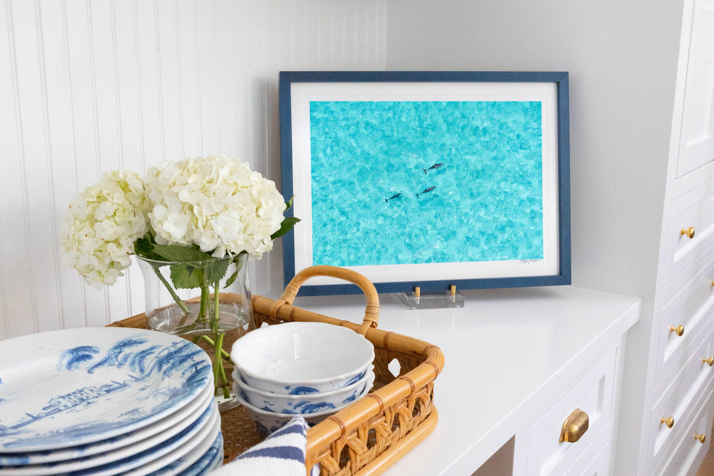 Dolphin Swim, Abaco, Bahamas