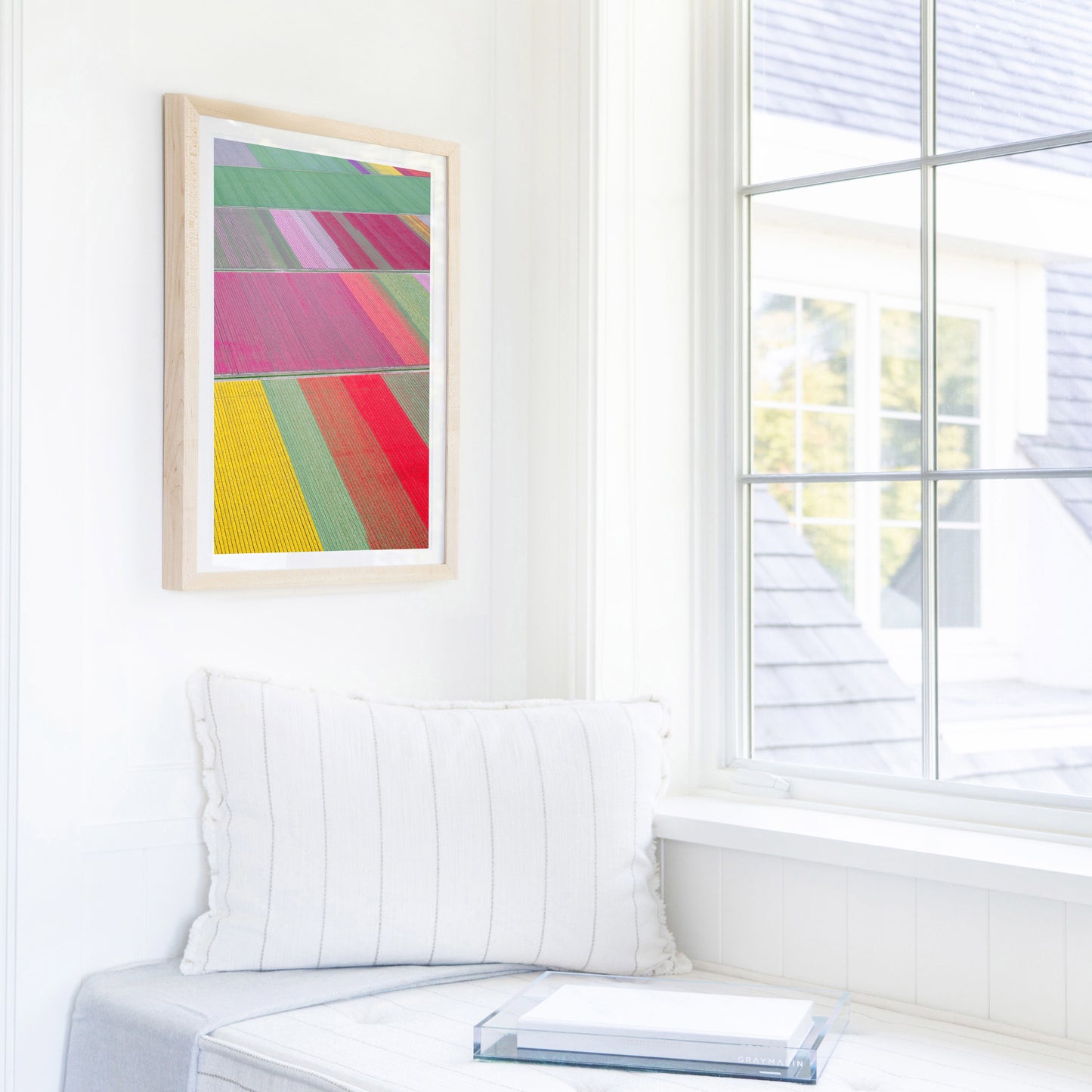 Dutch Tulip Fields, Netherlands