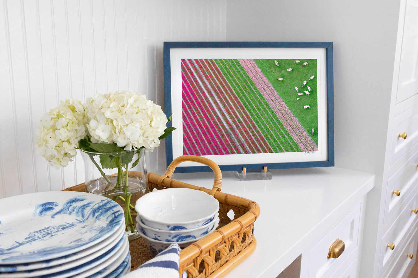 Grazing Horses, Dutch Tulip Fields, Netherlands