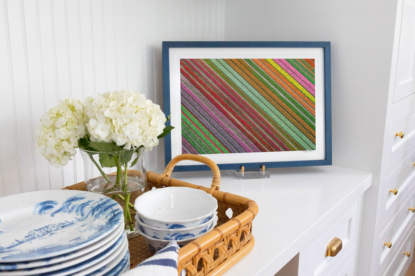 Rainbow Striped Tulip Fields, Netherlands