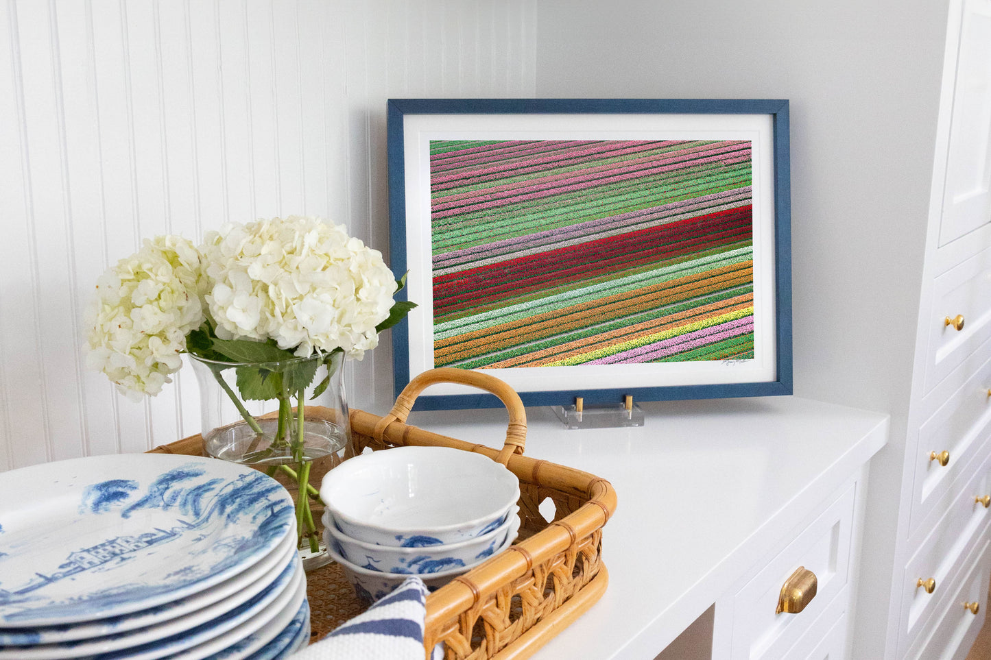Rainbow Tulip Fields, Netherlands