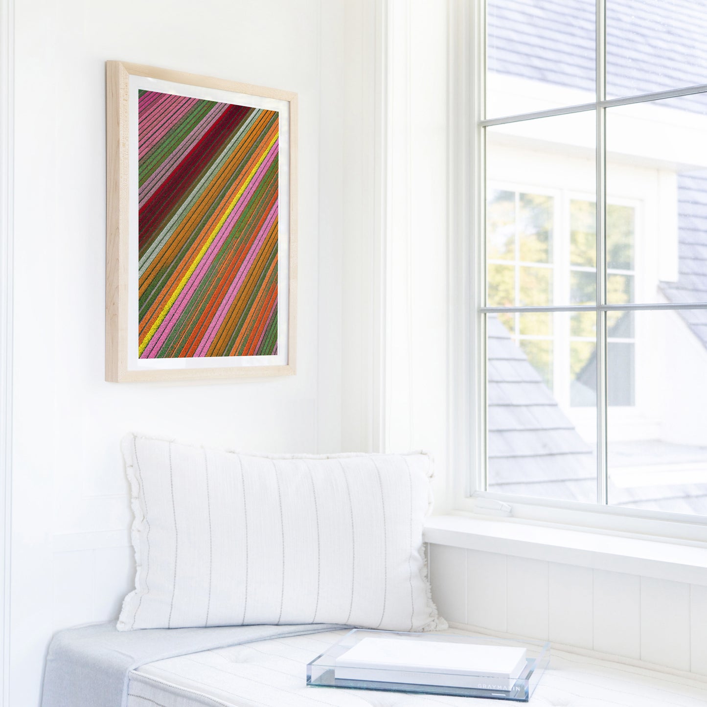 Rainbow Tulip Fields Vertical, Netherlands