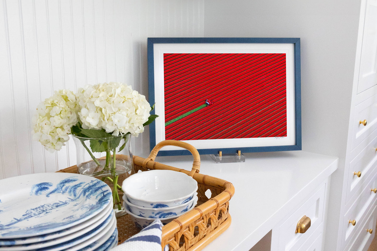 Red Tulip Harvest, Dutch Tulip Fields, Netherlands