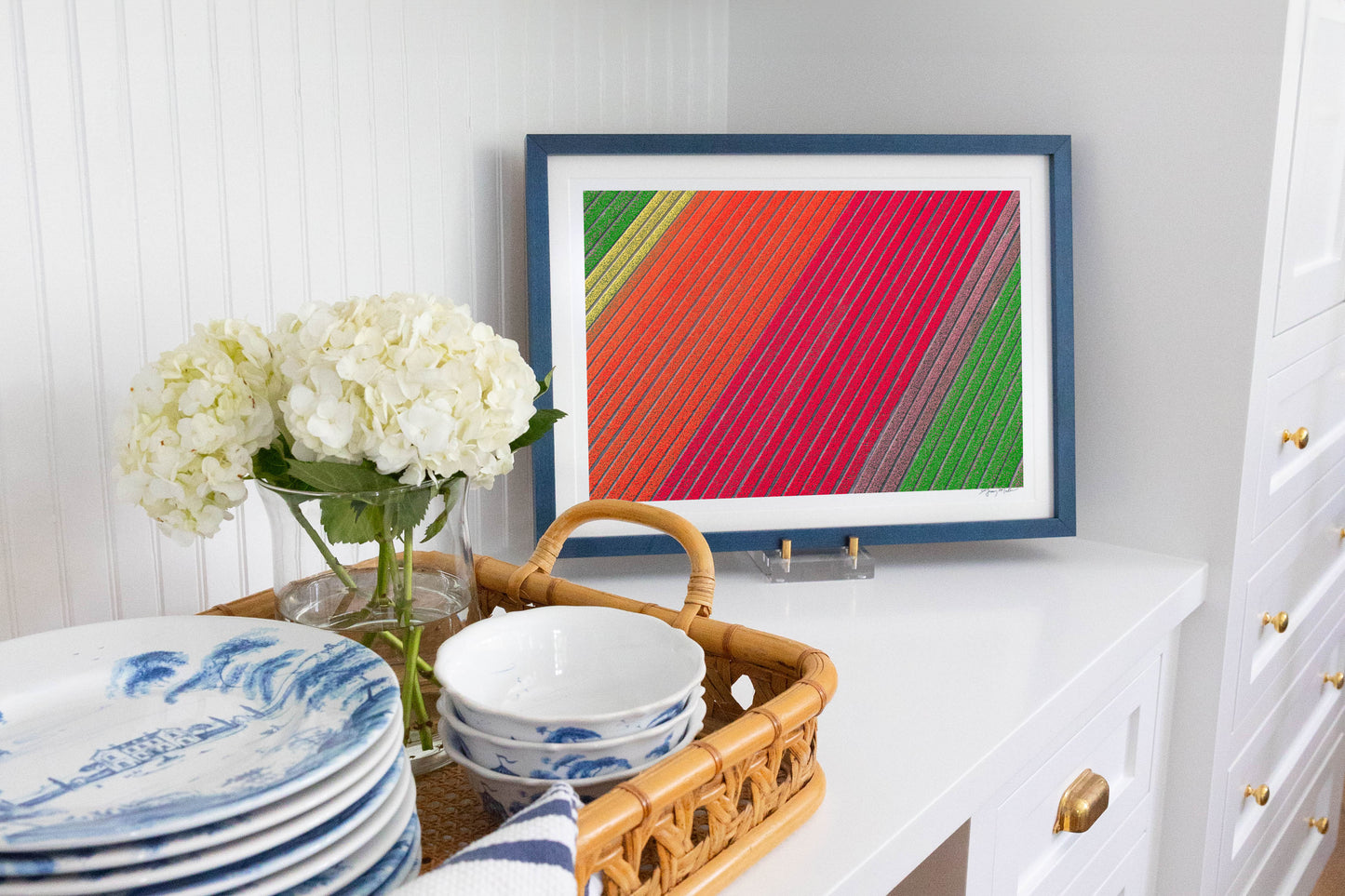 Rows of Color, Dutch Tulip Fields, Netherlands