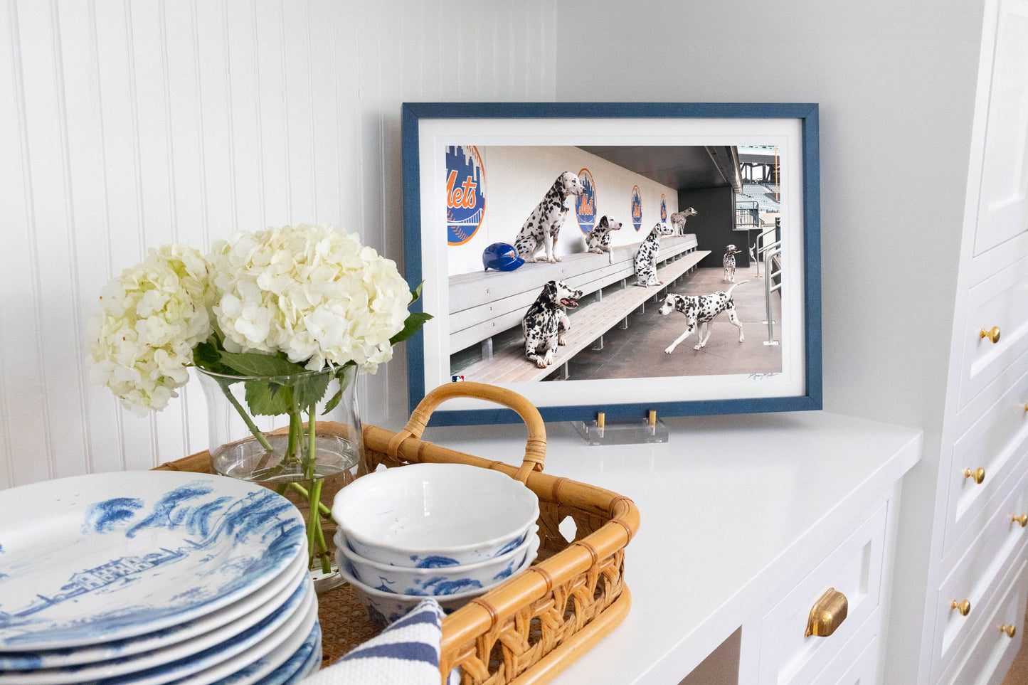 Spotted in the Dugout