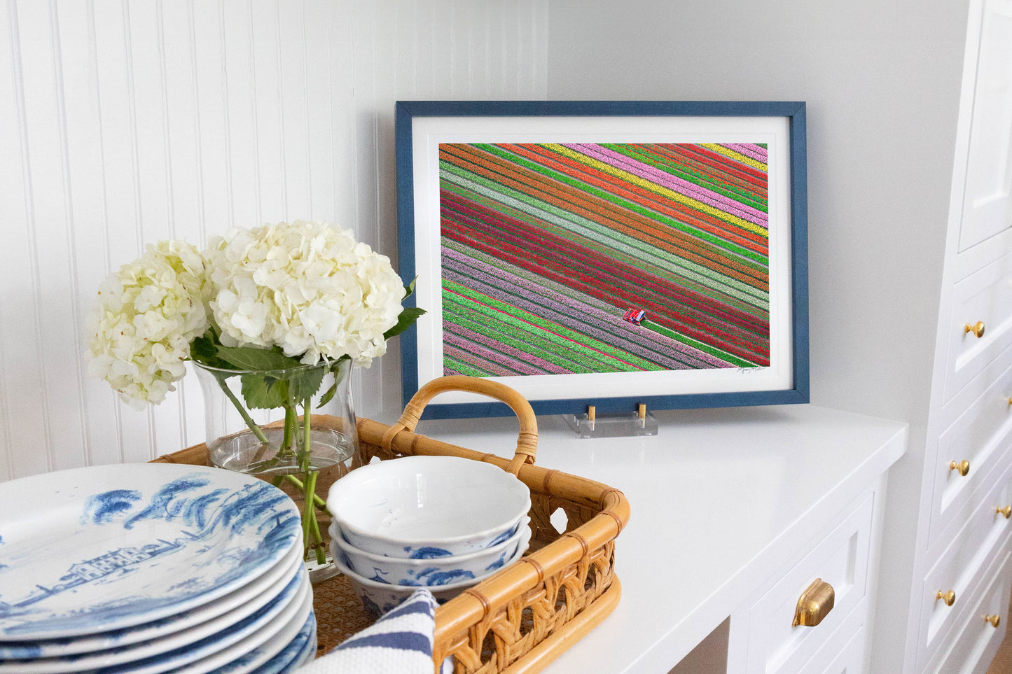 Spring Harvest, Dutch Tulip Fields, Netherlands