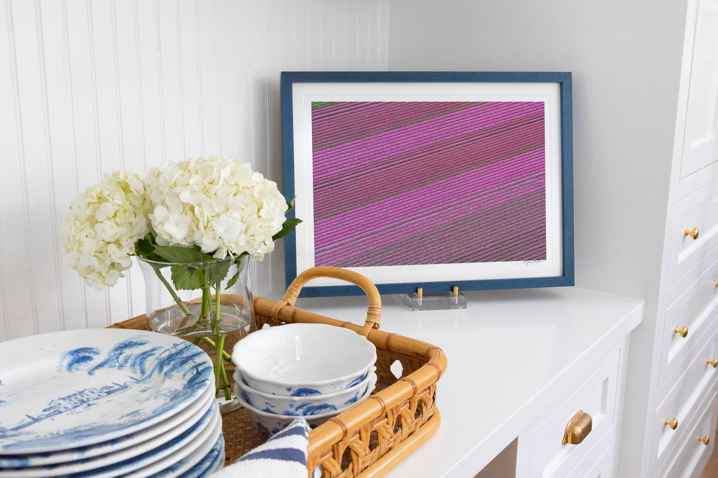 Spring in Bloom, Dutch Tulip Fields, Netherlands