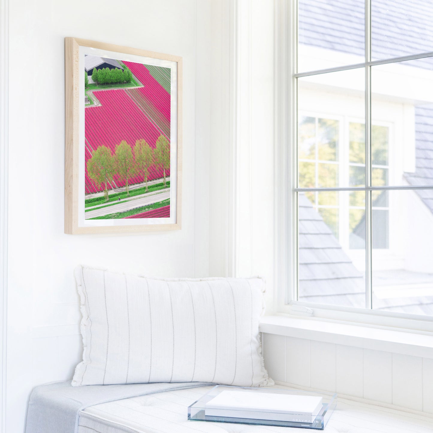 Tulip Farm, Netherlands