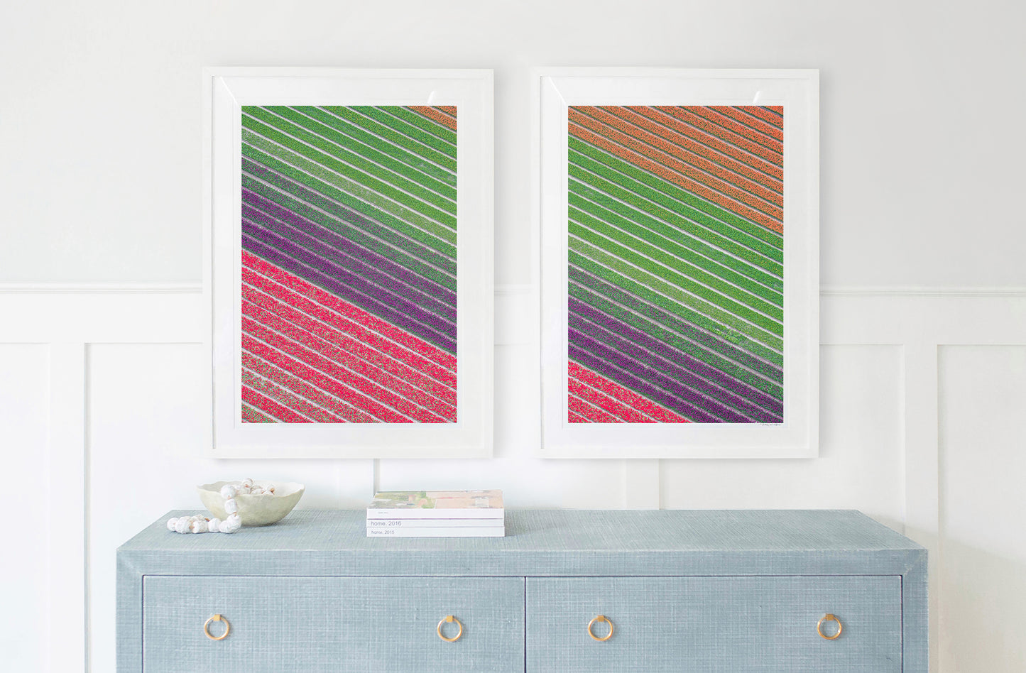 Tulip Fields Diptych, Netherlands