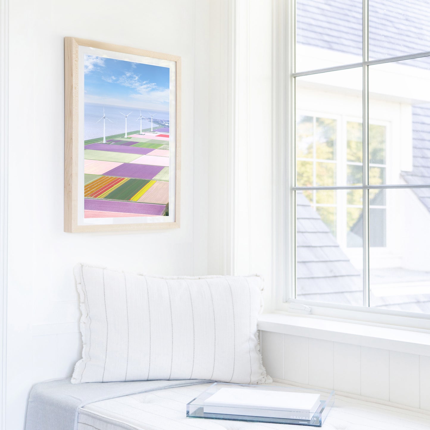 Windmills, Dutch Tulip Fields, Netherlands