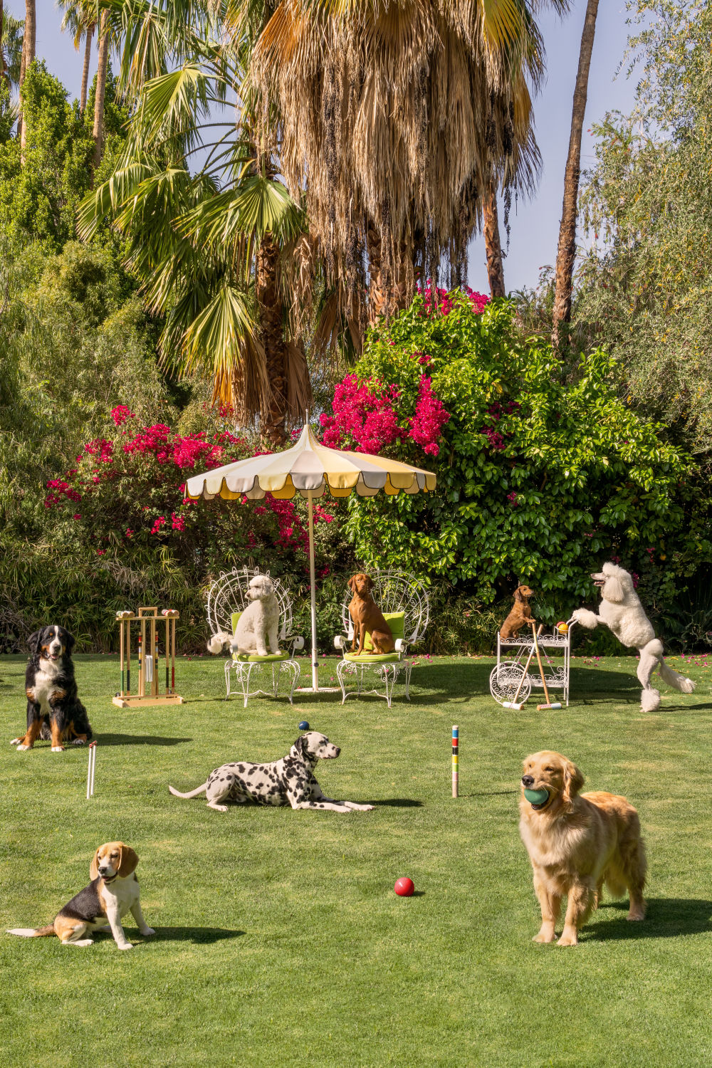 Photography by Gray Malin of Afternoon Croquet Vertical, Parker Palm Springs