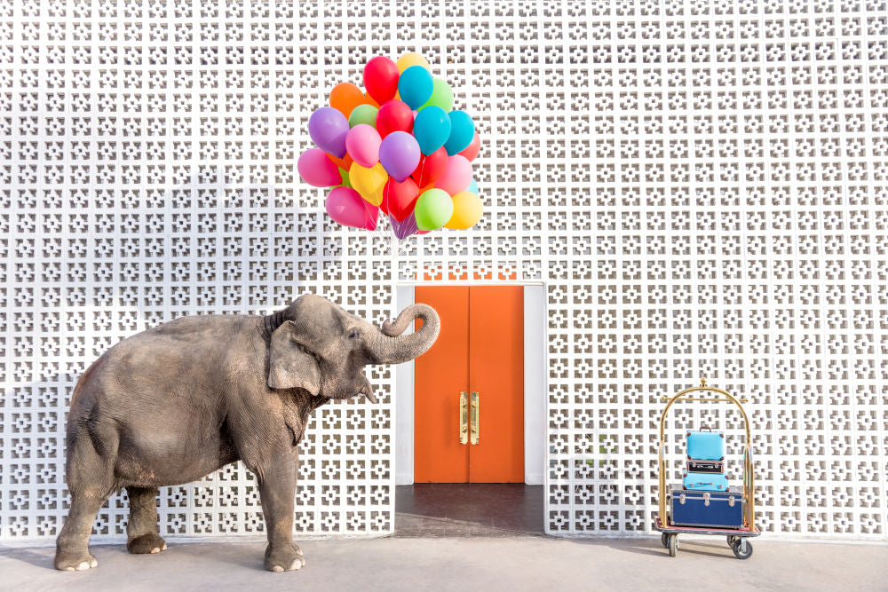 Photography by Gray Malin of Always Welcome at the Parker II