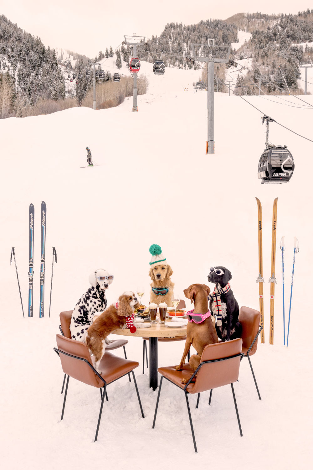 Photography by Gray Malin of Après Ski Pups Vertical, Aspen
