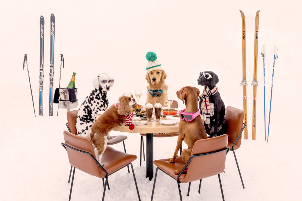 Photography by Gray Malin of Après Ski Pups, Aspen