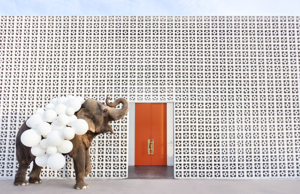 Photography by Gray Malin of Artist in Residence II