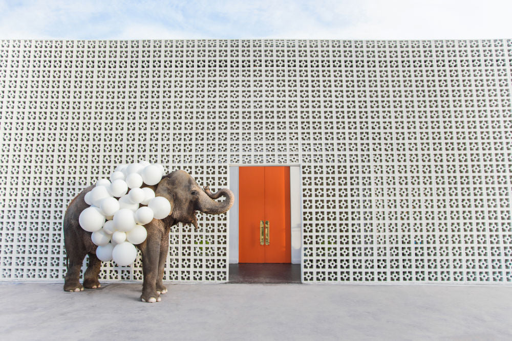 Photography by Gray Malin of Artist in Residence