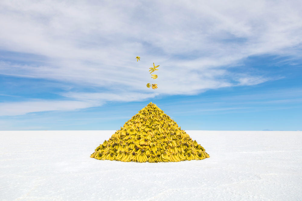 Photography by Gray Malin of Bananas I