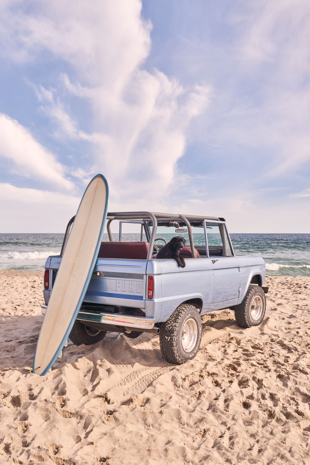 Photography by Gray Malin of Beach Bronco Pup Vertical, Nantucket