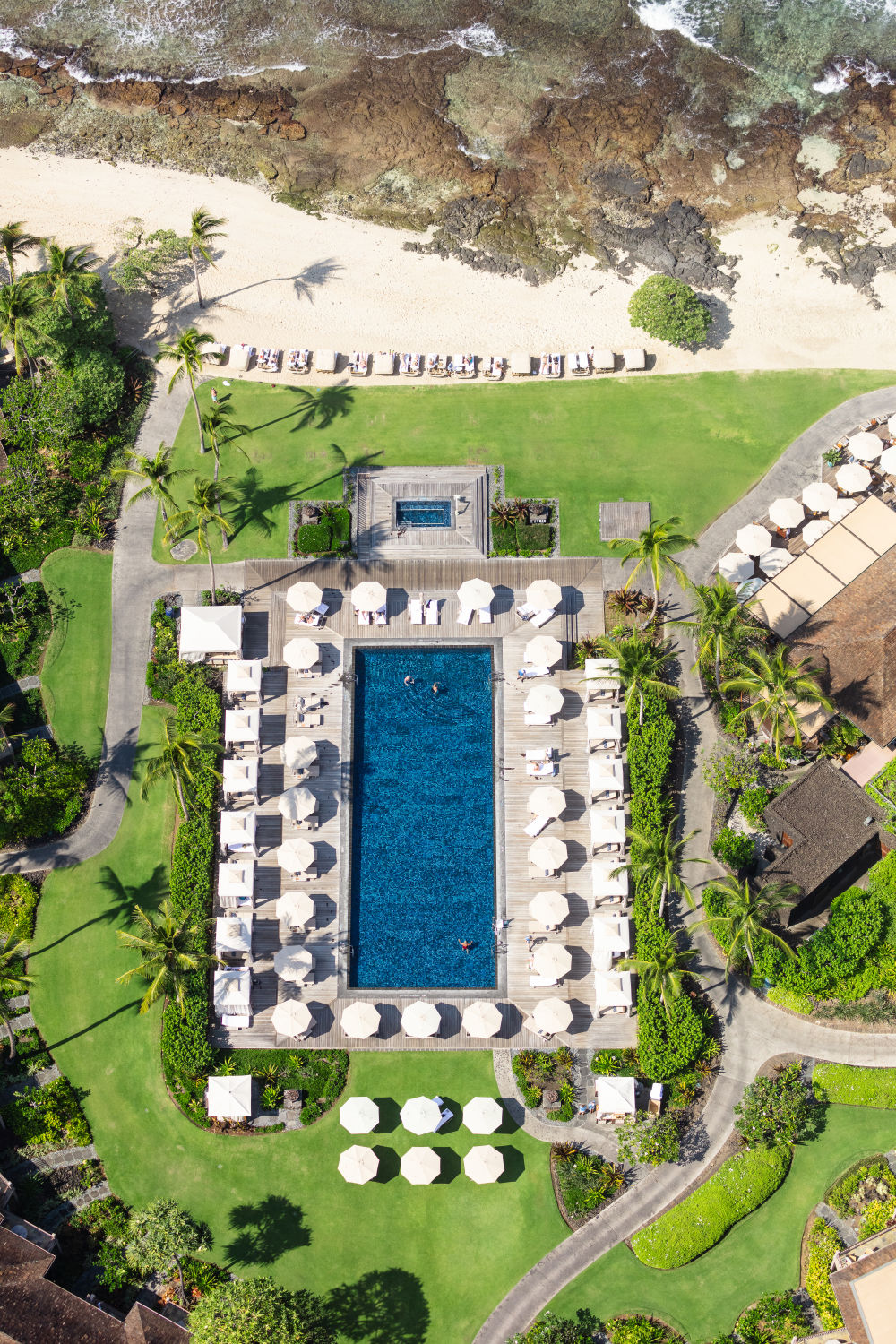 Photography by Gray Malin of Beach Tree Pool Vertical, Hawai'i