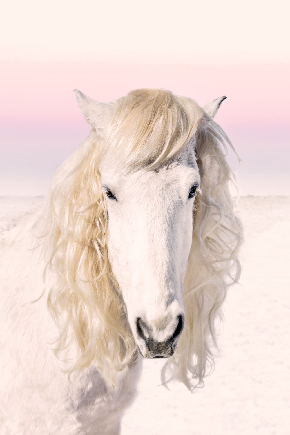 Photography by Gray Malin of Blonde Ambition