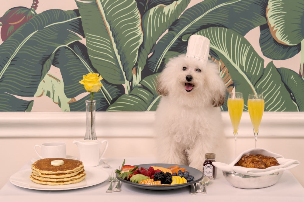 Photography by Gray Malin of Bone Appetit, The Beverly Hills Hotel