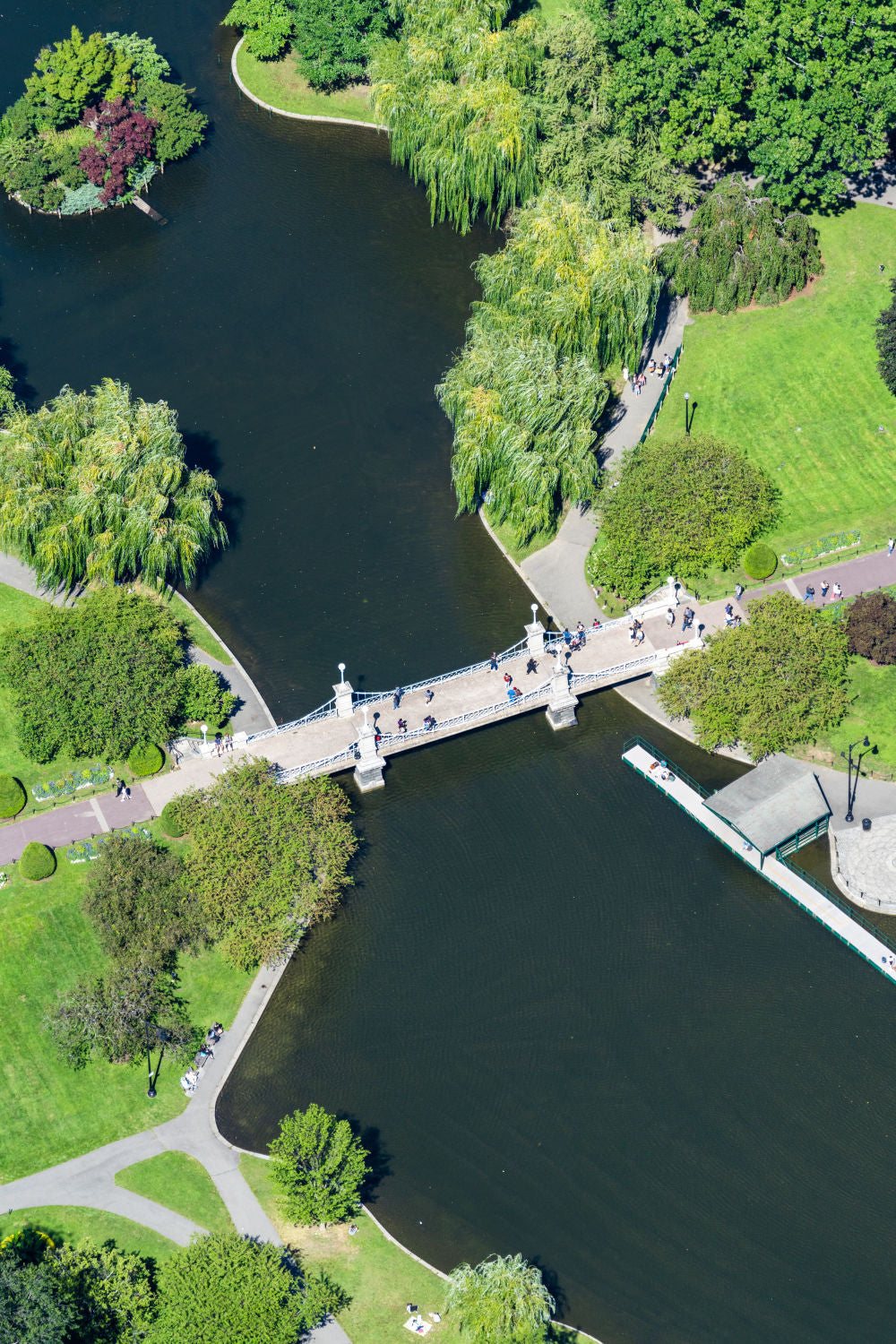 Photography by Gray Malin of Boston Public Garden Vertical