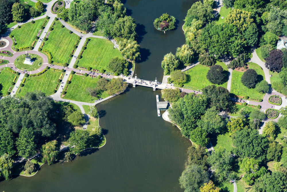 Photography by Gray Malin of Boston Public Garden