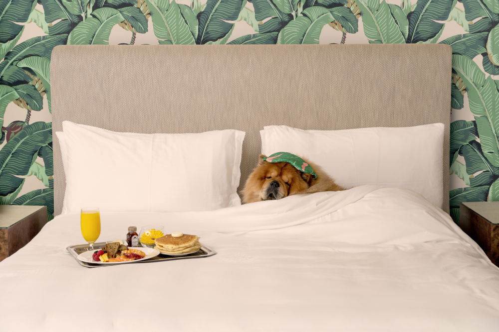 Photography by Gray Malin of Breakfast in Bed, The Beverly Hills Hotel