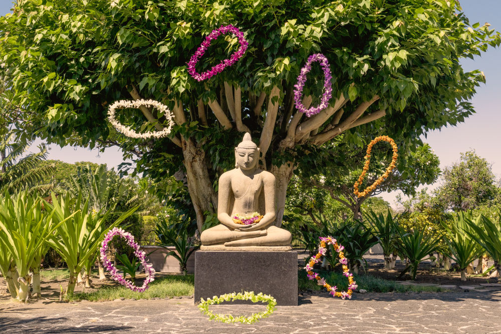 Photography by Gray Malin of Buddha with Leis, Mauna Kea