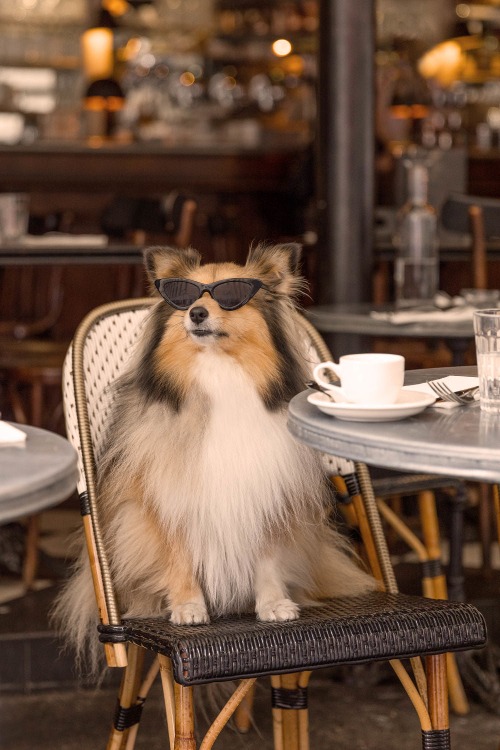 Photography by Gray Malin of Café Pup, Paris