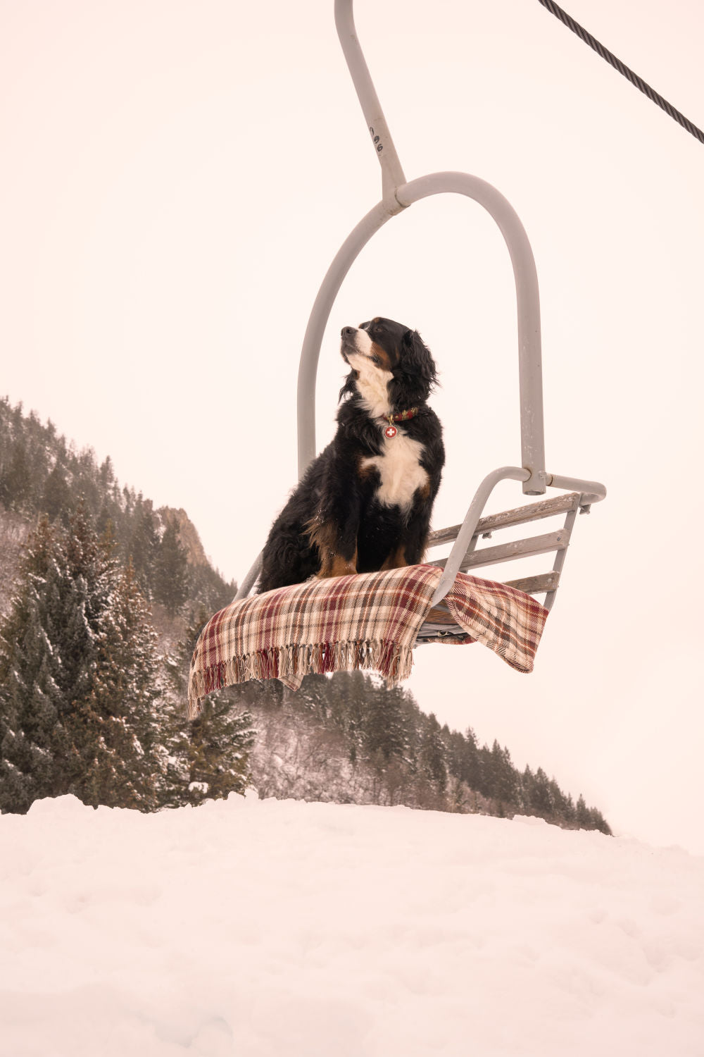 Photography by Gray Malin of Chairlift 1A Pup, Aspen Mountain