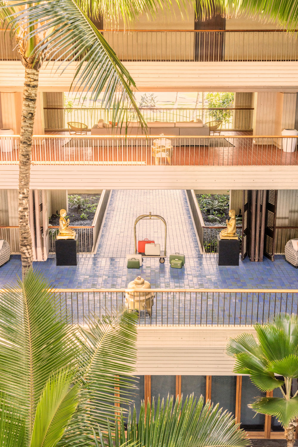 Checking in Vertical, Mauna Kea