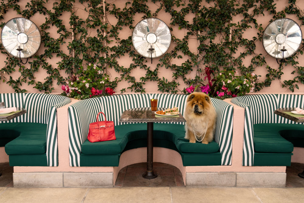 Photography by Gray Malin of Chowing at The Cabana Cafe, The Beverly Hills Hotel