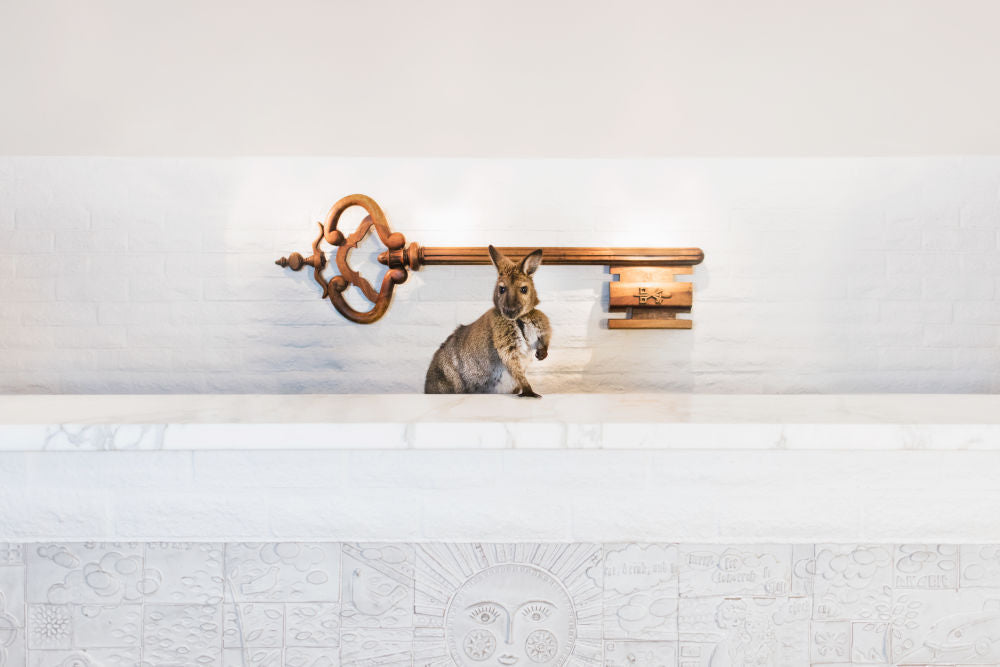 Photography by Gray Malin of Concierge