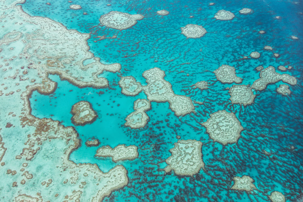 Photography by Gray Malin of Coral Reefs, Great Barrier Reef