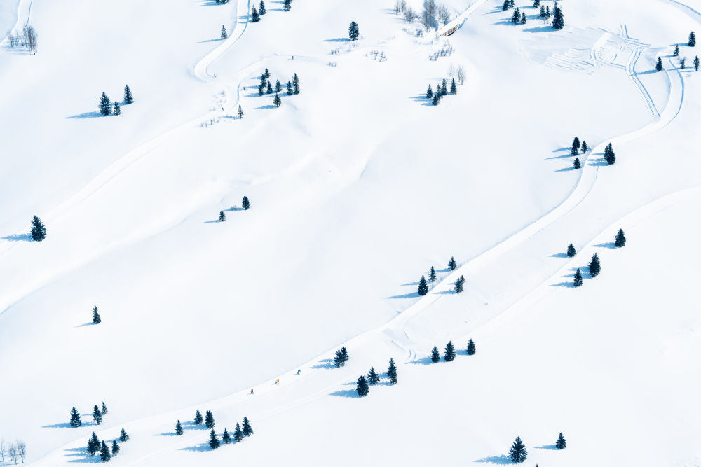 Photography by Gray Malin of Cross Country Skiers, Jackson Hole