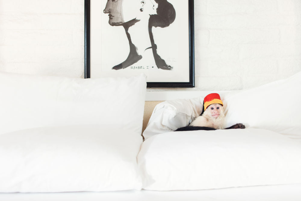 Photography by Gray Malin of Disco Nap